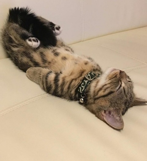 deahotbaby OnlyFans - Free Access to 152 Videos & 49 Photos Onlyfans Free Access