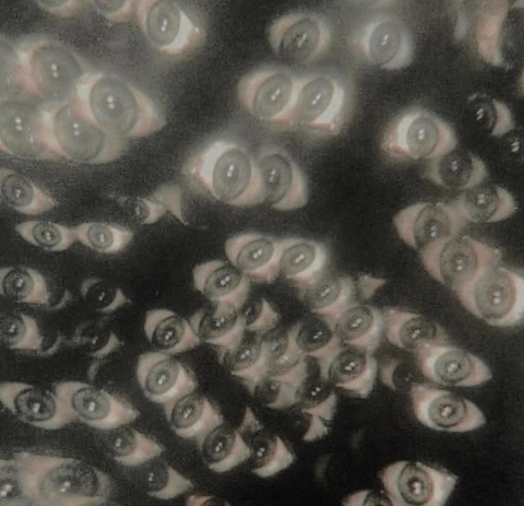 deathconsciousness OnlyFans - Free Access to 32 Videos & 176 Photos Onlyfans Free Access