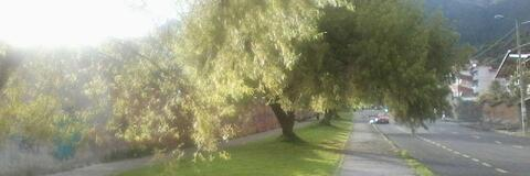 deiividyarus OnlyFans - Free Access to 32 Videos & 49 Photos Onlyfans Free Access