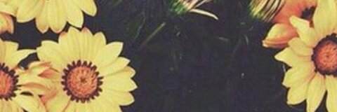 deleonkahra OnlyFans - Free Access to 37 Videos & 63 Photos Onlyfans Free Access