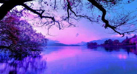 delicatebutdeadly OnlyFans - Free Access to 49 Videos & 110 Photos Onlyfans Free Access