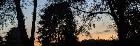 deliriousbiz OnlyFans - Free Access to 32 Videos & 49 Photos Onlyfans Free Access