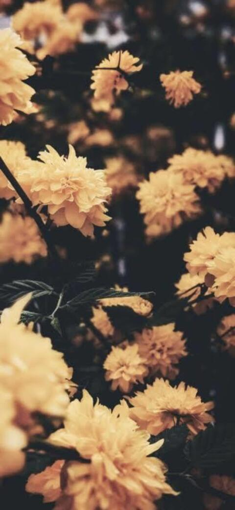 delore OnlyFans - Free Access to 32 Videos & 49 Photos Onlyfans Free Access