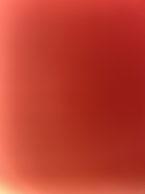 denisek OnlyFans - Free Access to 32 Videos & 49 Photos Onlyfans Free Access