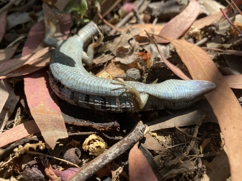 depressis OnlyFans - Free Access to 32 Videos & 49 Photos Onlyfans Free Access