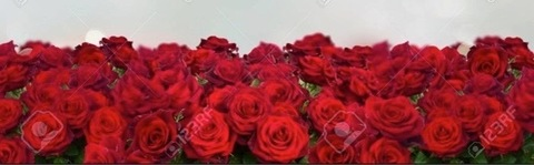 destinyforever OnlyFans - Free Access to 32 Videos & 49 Photos Onlyfans Free Access