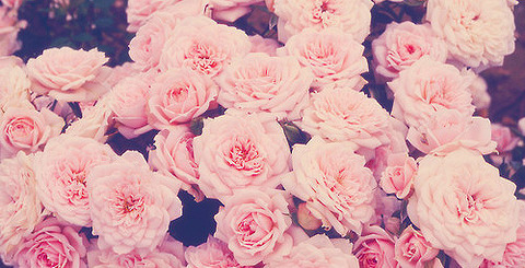 destinymamiii OnlyFans - Free Access to 32 Videos & 49 Photos Onlyfans Free Access