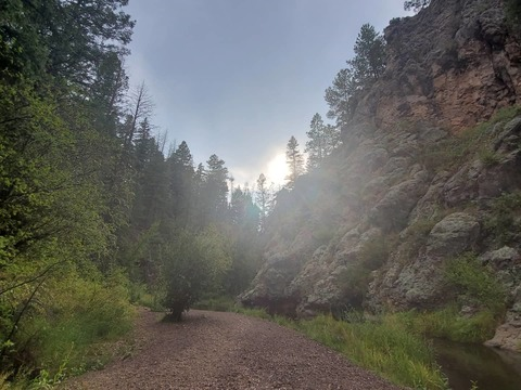 devthynude (Devyn Brooks) OnlyFans Leaked Content - FanforLeaks