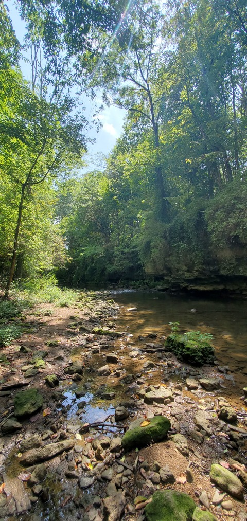 dieselguy10 OnlyFans - Free Access to 32 Videos & 49 Photos Onlyfans Free Access