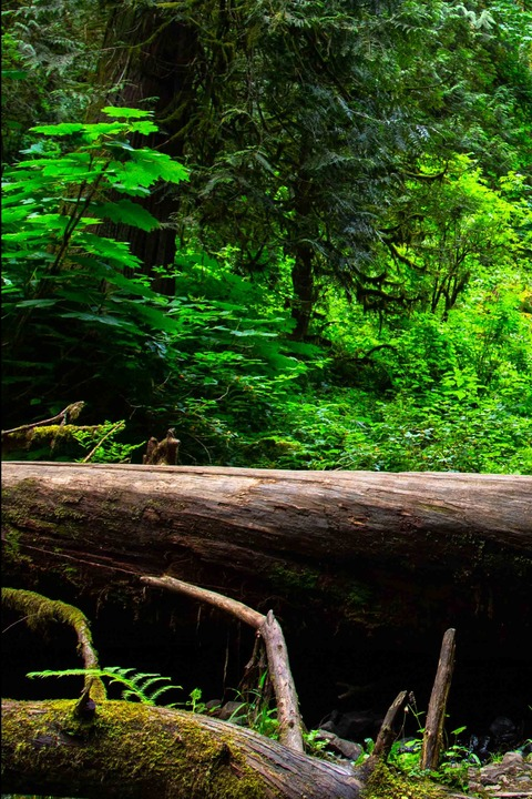 dild0baggins OnlyFans - Free Access to 32 Videos & 49 Photos Onlyfans Free Access