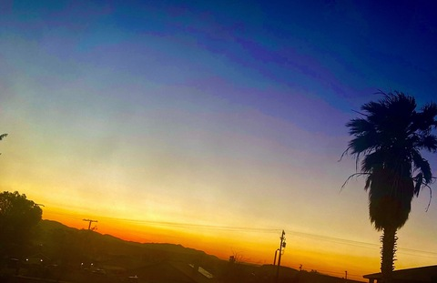 dinosaurgreens OnlyFans - Free Access to 32 Videos & 49 Photos Onlyfans Free Access