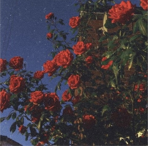 diosaluv OnlyFans - Free Access to 32 Videos & 49 Photos Onlyfans Free Access