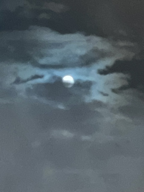 divinesoul999 OnlyFans - Free Access to 39 Videos & 147 Photos Onlyfans Free Access