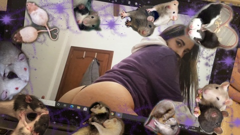 dominannx OnlyFans - Free Access to 32 Videos & 49 Photos Onlyfans Free Access