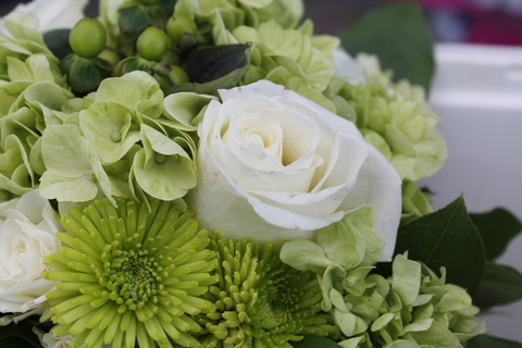 dontcallmealady OnlyFans - Free Access to 32 Videos & 49 Photos Onlyfans Free Access