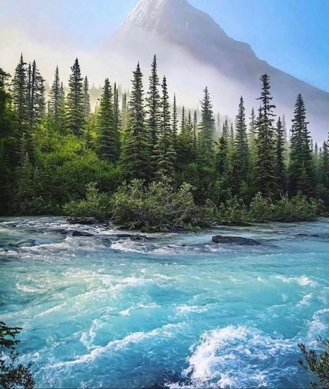 dreamer2626 OnlyFans - Free Access to 32 Videos & 49 Photos Onlyfans Free Access