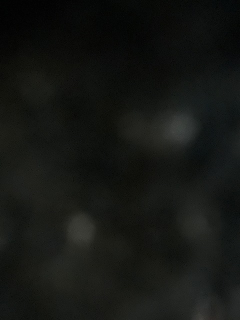 dtruwooo OnlyFans - Free Access to 43 Videos & 225 Photos Onlyfans Free Access