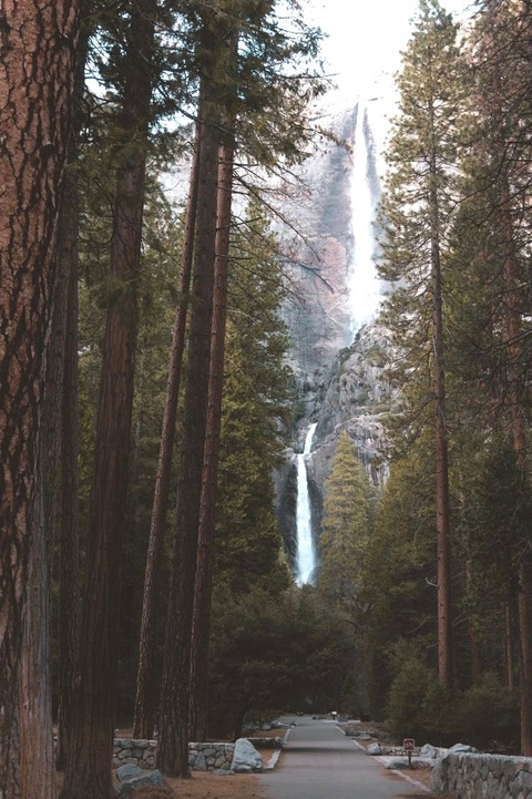 dumbrat OnlyFans - Free Access to 32 Videos & 77 Photos Onlyfans Free Access