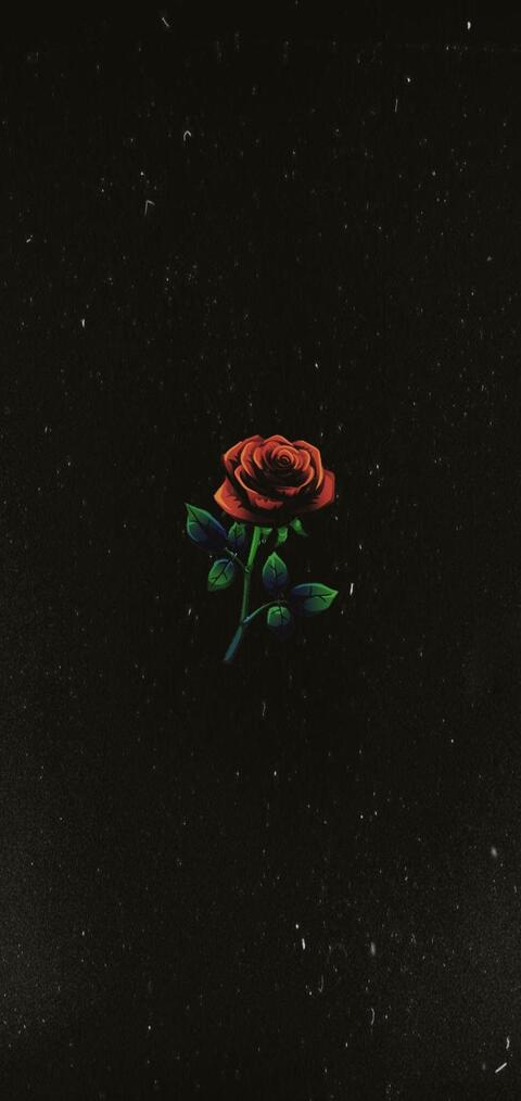 dyneseman OnlyFans - Free Access to 48 Videos & 139 Photos Onlyfans Free Access