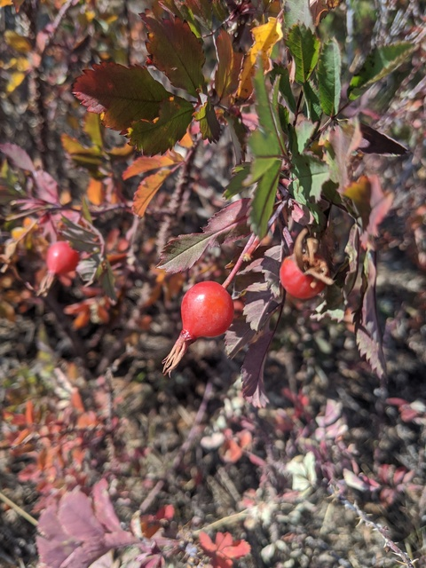 easycowboy OnlyFans - Free Access to 42 Videos & 308 Photos Onlyfans Free Access