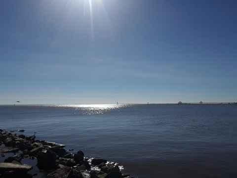 ebonygoddess OnlyFans - Free Access to 32 Videos & 49 Photos Onlyfans Free Access