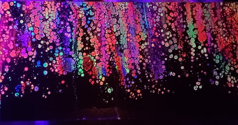 edwinperaltasd OnlyFans - Free Access to 162 Videos & 49 Photos Onlyfans Free Access