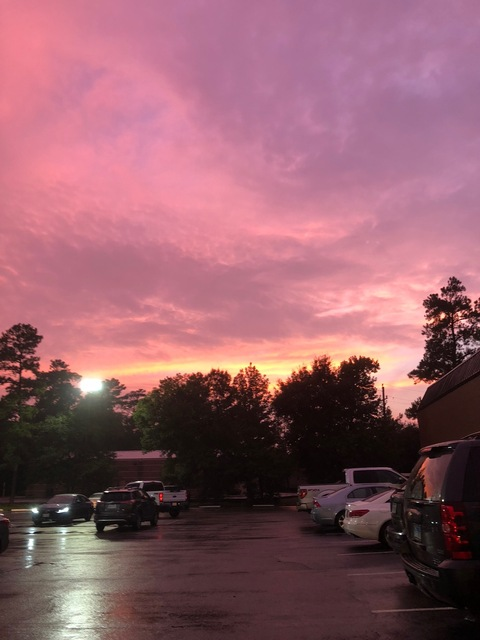 elizasof OnlyFans - Free Access to 61 Videos & 66 Photos Onlyfans Free Access