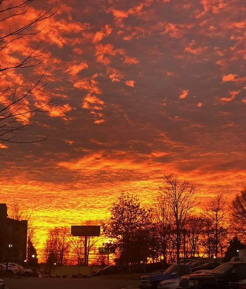 elletnahc8 OnlyFans - Free Access to 44 Videos & 49 Photos Onlyfans Free Access