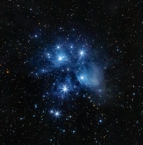 elpocamadre OnlyFans - Free Access to 32 Videos & 49 Photos Onlyfans Free Access