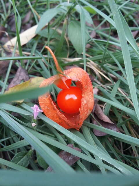 email OnlyFans - Free Access to 32 Videos & 49 Photos Onlyfans Free Access