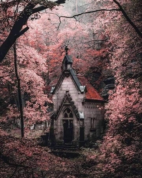 emonyx666 OnlyFans - Free Access to 32 Videos & 148 Photos Onlyfans Free Access