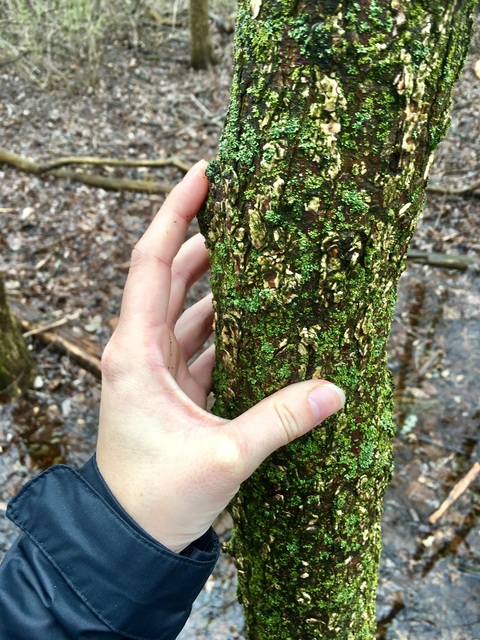 empara OnlyFans - Free Access to 32 Videos & 49 Photos Onlyfans Free Access