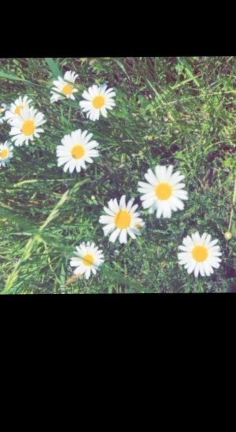 empressbee_3 OnlyFans - Free Access to 32 Videos & 49 Photos Onlyfans Free Access