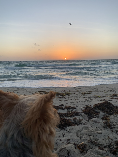 erikatown OnlyFans - Free Access to 32 Videos & 49 Photos Onlyfans Free Access