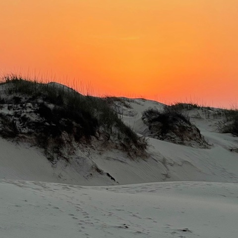 essentiajay OnlyFans - Free Access to 32 Videos & 49 Photos Onlyfans Free Access