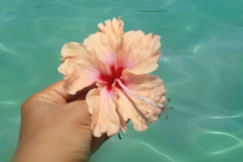 estefaniasanchez OnlyFans - Free Access to 32 Videos & 49 Photos Onlyfans Free Access