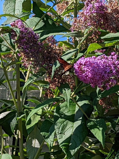 eve.winter OnlyFans - Free Access to 32 Videos & 49 Photos Onlyfans Free Access