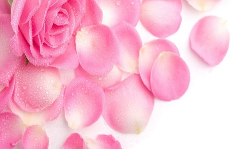 exclusivebabe74 OnlyFans - Free Access to 32 Videos & 49 Photos Onlyfans Free Access