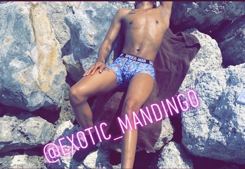 exotic_mandingo OnlyFans - Free Access to 58 Videos & 49 Photos Onlyfans Free Access