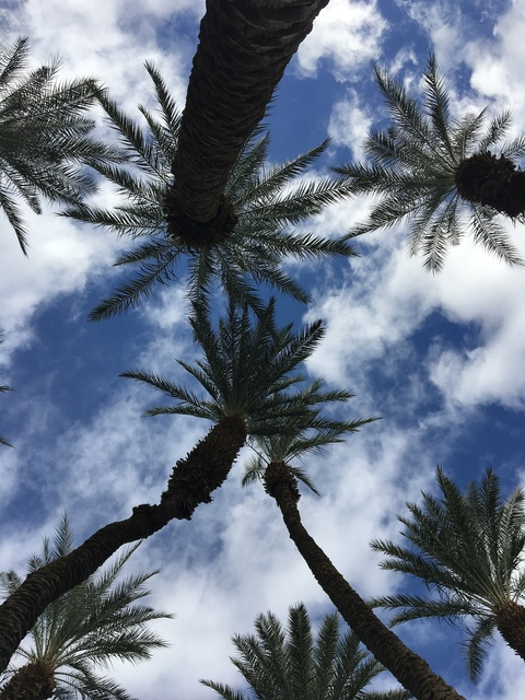 fairyqween OnlyFans - Free Access to 32 Videos & 49 Photos Onlyfans Free Access