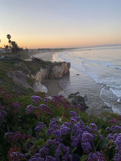 favmami OnlyFans - Free Access to 32 Videos & 49 Photos Onlyfans Free Access