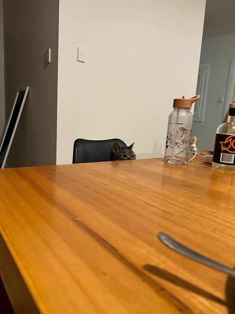 fayela221 OnlyFans - Free Access to 32 Videos & 49 Photos Onlyfans Free Access