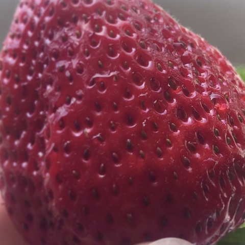 feet-babe OnlyFans - Free Access to 32 Videos & 49 Photos Onlyfans Free Access