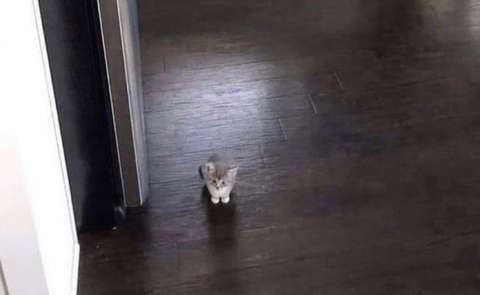 fettyk1tty OnlyFans - Free Access to 32 Videos & 237 Photos Onlyfans Free Access