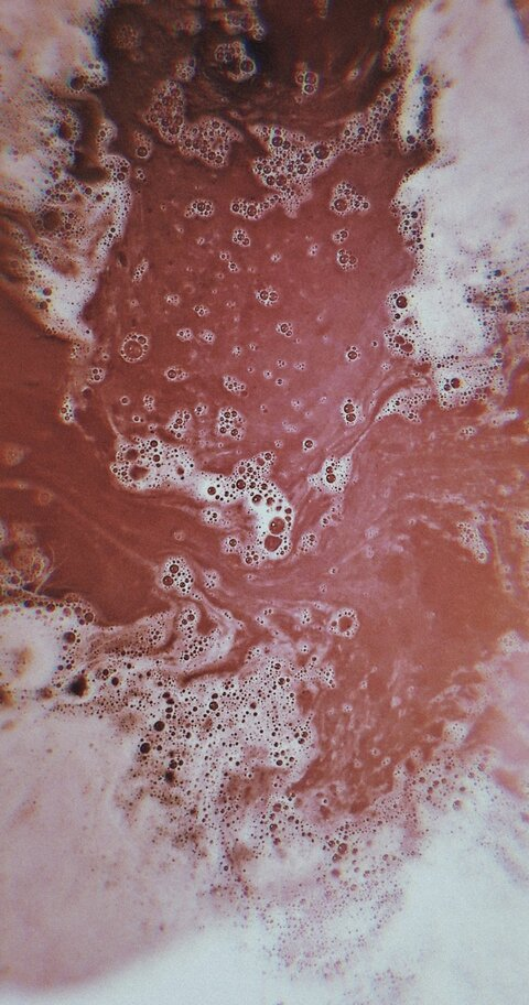 findombitchxxx OnlyFans - Free Access to 32 Videos & 49 Photos Onlyfans Free Access