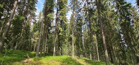 finnishnymph OnlyFans - Free Access to 32 Videos & 49 Photos Onlyfans Free Access