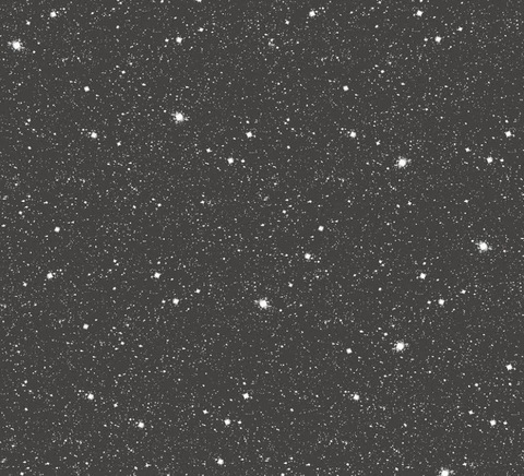 fionalusha OnlyFans - Free Access to 32 Videos & 49 Photos Onlyfans Free Access