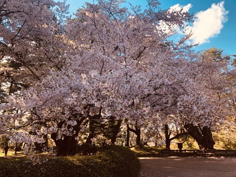 fishing-man OnlyFans - Free Access to 191 Videos & 49 Photos Onlyfans Free Access