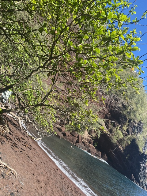 flacaxoxo OnlyFans - Free Access to 32 Videos & 49 Photos Onlyfans Free Access