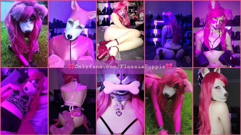 flossiepuppie OnlyFans - Free Access to 144 Videos & 1016 Photos Onlyfans Free Access